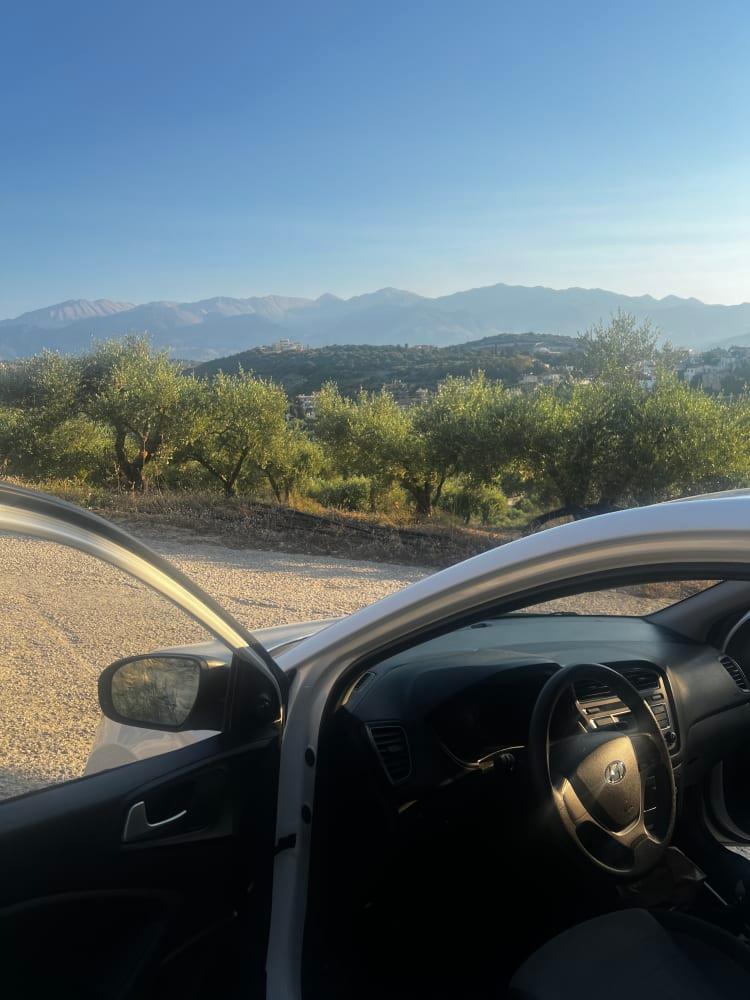 På väg till olivlunden