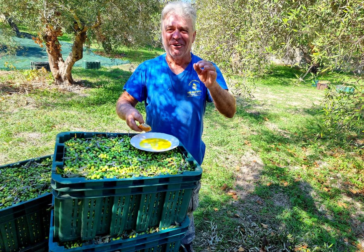 Olivfarmarna bakom Happy Olive