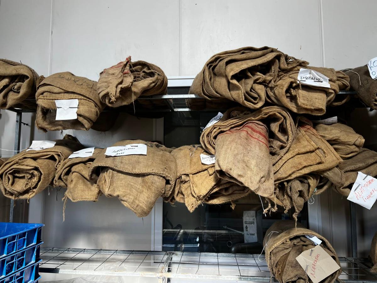 Minikurs om olivolja