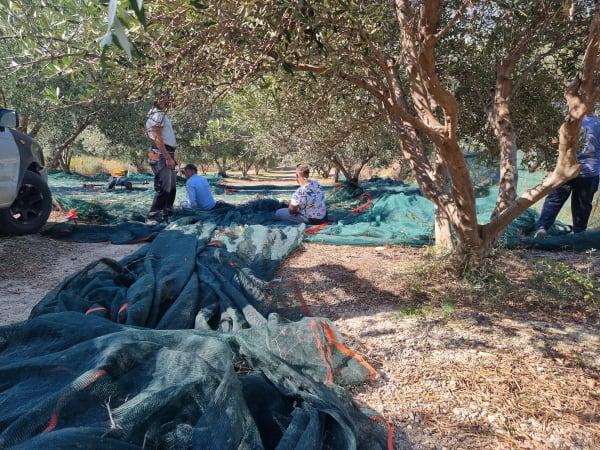 Del 2: Småskaligt jordbruk kontra jordbruk med massproduktion