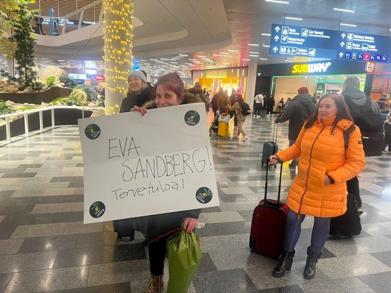 Småodlarens färska olivolja fås från tidig skörd (Early Harvest)