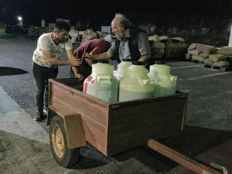 Småodlarens färska olivolja fås från tidig skörd (Early Harvest)