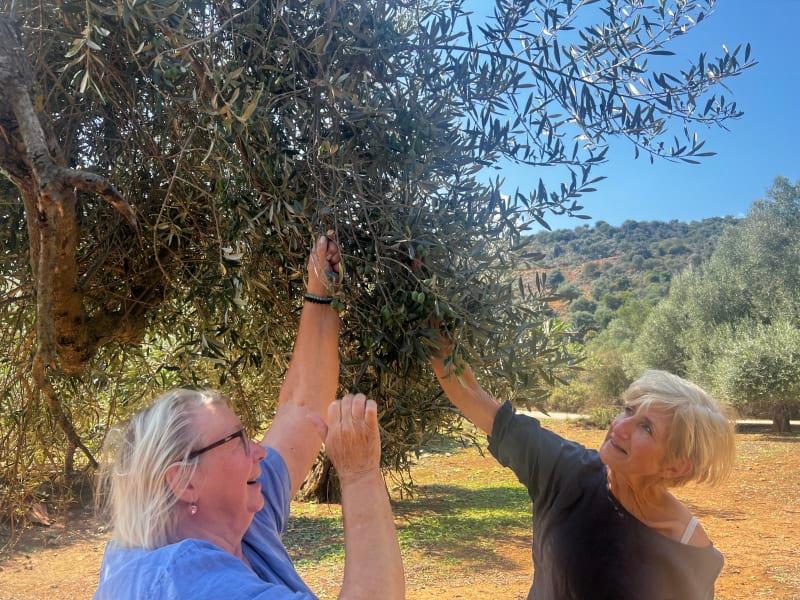 Eva och Merja i olivlunden